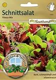Schnittsalat Fitness Mix Saatband für Balkon & Terrasse bunt schmackhaft vitaminreich 43020 Salat Foto, bester Preis 2,65 € neu 2024