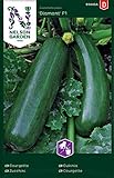 Zucchini Samen für Gemüsegarten - Nelson Garden Saatgut - Zucchini Diamant F1 (15 Stück) (Zucchini, Diamant F1, Einzelpackung) Foto, bester Preis 4,95 € neu 2024