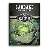 Survival Garden Seeds - Golden Acres Green Cabbage Seed for Planting - Packet with Instructions to Plant and Grow Yellow-White Cabbages in Your Home Vegetable Garden - Non-GMO Heirloom Variety Photo, best price $4.99 new 2024