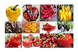 Harley Seeds This is A Mix!!! 30+ Sweet Pepper Mix Seeds, 12 Varieties Heirloom Non-GMO, Pimento, Purple Beauty, from USA, green Photo, best price $5.49 ($2.74 / Gram) new 2024