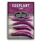 Survival Garden Seeds - Long Purple Eggplant Seed for Planting - Packet with Instructions to Plant and Grow Skinny Italian Aubergines in Your Home Vegetable Garden - Non-GMO Heirloom Variety Photo, best price $4.99 new 2024