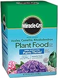 Miracle-Gro 1000701 Pound (Fertilizer for Acid Loving Plant Food for Azaleas, Camellias, and Rhododendrons, 1.5, 1.5 lb Photo, best price $16.19 new 2024