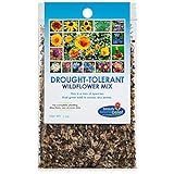 Drought Resistant Tolerant Wildflower Seeds Open-Pollinated Bulk Flower Seed Mix for Beautiful Perennial, Annual Garden Flowers - No Fillers - 1 oz Packet Photo, best price $9.69 new 2024