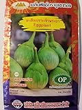 Golden Mountain Thai Light Green Round Medium Eggplant Seeds Photo, best price $6.99 new 2024