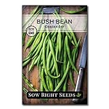 Sow Right Seeds - Contender Green Bean Seed for Planting - Non-GMO Heirloom Packet with Instructions to Plant a Home Vegetable Garden Photo, best price $5.49 new 2024