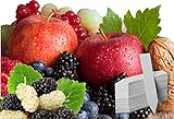 Fruit Combo Pack Raspberry, BlackBerry, Blueberry, Strawberry, Apple, Mulberry 575+ Seeds UPC 695928808755 & 4 Free Plant Markers Photo, best price $8.15 new 2024