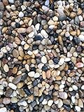 12 Pounds River Rock Stones, Natural Decorative Polished Mixed Pebbles Gravel,Outdoor Decorative Stones for Plant Aquariums, Landscaping, Vase Fillers Photo, best price $25.99 new 2024