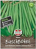 80039 Sperli Premium Buschbohnen Samen Delinel | Ertragreich | Fadenlos | Buschbohnen Samen ohne Fäden | Ackerbohnen Saatgut Foto, bester Preis 4,29 € neu 2024
