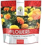 African Marigold Seeds Crackerjack Mix - Bulk 1 Ounce Packet - Over 10,000 Seeds - Huge Orange and Yellow Blooms Photo, best price $7.97 new 2024