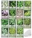 Photo 15 Herb Seeds For Planting Varieties Heirloom Non-GMO 5200+ Seeds Indoors, Hydroponics, Outdoors - Basil, Catnip, Chive, Cilantro, Oregano, Parsley, Peppermint, Rosemary and More By Gardeners Basics