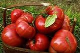 75+ Pink Brandywine Heirloom Tomato Seeds Photo, best price $4.49 new 2024