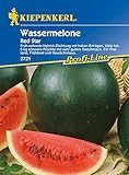 Melonen Wassermelone Red Star F1 Foto, bester Preis 4,24 € neu 2024