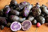 Simply Seed - Purple Majesty - Naturally Grown Seed Potatoes - 5 LB- Ready for Spring Planting Photo, best price $25.99 ($0.32 / Ounce) new 2024