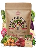 10 Rare Beet Seeds Variety Pack for Planting Indoor & Outdoors 1000+ Heirloom Non-GMO Bulk Beets Gardening Seeds: Chioggia, Detroit Dark Red, Sugar, Cylindra, Golden, Bulls Blood, White Albino & More Photo, best price $12.99 ($1.30 / Count) new 2024