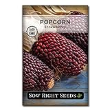 Sow Right Seeds - Strawberry Popcorn Seed for Planting - Non-GMO Heirloom Packet with Instructions to Plant a Home Vegetable Garden Photo, best price $4.99 new 2024