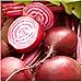 Photo Seed Needs, Chioggia Beets (Beta vulgaris) Bulk Package of 2,000 Seeds Non-GMO
