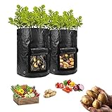HomeFoundry 10 Gallon Potato Grow Bags – 2 Pack Portable Aeration Fabric with Hook & Loop Window Garden Planting Bags for Vegetables-Carrots-Onion & Tomato’s Photo, best price $8.99 new 2024