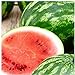 Photo 25 Cal Sweet Watermelon Seeds | Non-GMO | Heirloom | Instant Latch Garden Seeds