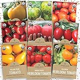 Organic Heirloom Tomato Seeds Variety Pack - 9 Seed Packets: Brandywine, Roma, Green Zebra, Three Sisters, Yellow Pear, Valencia, Amish Paste and More Photo, best price $15.97 new 2024