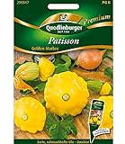 Quedlinburger Zucchini Patisson Golden Marbre,1 Portion Foto, bester Preis 5,17 € neu 2024