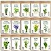 Photo Seedra 15 Herb Seeds Variety Pack - 4500+ Non-GMO Heirloom Seeds for Planting Hydroponic Indoor or Outdoor Home Garden - Lavender, Parsley, Cilantro, Basil, Thyme, Mint, Rosemary, Dill & More