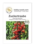 BIO-Tomatensamen Zuckertraube Cocktailtomate Portion Foto, bester Preis 2,95 € neu 2024