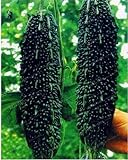 Black Bitter Melon Seeds for Planting, 10 Seeds - Dark Jade Bitter Melon - Ships from Iowa, USA Photo, best price $9.96 ($0.20 / Count) new 2024