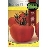 Semillas Fitó Híbridos 4049 - Tomate Crisol Foto, mejor precio 3,98 € nuevo 2024