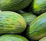 50 Valencia Late Melon Seeds | Non-GMO | Heirloom | Fresh Garden Seeds Photo, best price $6.95 new 2024