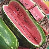 Jubilee Sweet Watermelon Seeds, 75 Heirloom Seeds Per Packet, Non GMO Seeds Photo, best price $5.99 ($0.08 / Count) new 2024