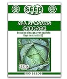 All Seasons Cabbage Seeds - 500 Seeds Non-GMO Photo, best price  new 2024