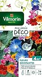 Vilmorin 5860642 Pack de Graines Fleur Grimpante Photo, meilleur prix 5,80 € nouveau 2024