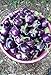 Photo 25 Seeds / Purple Eggplant (Baby Eggplants)