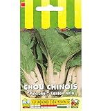 Sachet de graines de Chou de Chine Canton nain Pak Choi - 3 g - LES GRAINES BOCQUET Photo, meilleur prix 3,99 € (1 330,00 € / kg) nouveau 2024