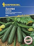 Zucchini Defender F1 Foto, bester Preis 3,96 € neu 2024