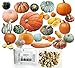 Photo HARLEY SEEDS - Mixed!!! 50+ Pumpkin and Winter Squash Mix Seeds Non-GMO 25 Varieties Delicious Grown in USA. Rare, Super Profilic and Delicious!