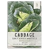Seed Needs, Early Jersey Wakefield Cabbage (Brassica oleracea) Single Package of 300 Seeds Non-GMO Photo, best price $5.85 new 2024