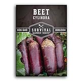 Survival Garden Seeds - Cylindra Beet Seed for Planting - Packet with Instructions to Plant and Grow Dark Red Beets in Your Home Vegetable Garden - Non-GMO Heirloom Variety Photo, best price $4.99 new 2024