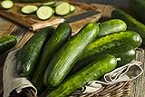 Sweeter Yet Hybrid Cucumber Seeds - Non-GMO - 10 Seeds Photo, best price $5.99 ($0.60 / Count) new 2024