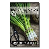 Sow Right Seeds - Heshiko Bunching Japanese Green Onion Seeds for Planting - Non-GMO Heirloom Seeds with Instructions to Plant and Grow a Kitchen Garden, Indoor or Outdoor; Great Gardening Gift Photo, best price $5.99 new 2024