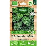 Vilmorin - Sachet graines Chou Frisé (KALE) Westlandse Winter BIO - Brassica oleracea var. sabellica Photo, meilleur prix 5,85 € (2 925,00 € / kg) nouveau 2024
