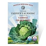 The Old Farmer's Almanac Heirloom Cabbage Seeds (Golden Acre) - Approx 950 Seeds Photo, best price $4.29 ($0.00 / Count) new 2024