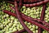 Purple Hull Pea Seeds for Planting - 250 Seeds Photo, best price $13.97 ($0.06 / Count) new 2024