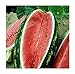 Photo David's Garden Seeds Fruit Watermelon Allsweet 1429 (Red) 50 Non-GMO, Heirloom Seeds