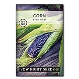 Sow Right Seeds - Blue Hopi Corn Seed for Planting - Non-GMO Heirloom Packet with Instructions to Plant and Grow an Outdoor Home Vegetable Garden - Great for Blue Corn Flour - Wonderful Gardening Gift Photo, best price $4.99 new 2024