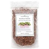 Rainbow Radish Sprouting Seeds Mix | Heirloom Non-GMO Seeds for Sprouting & Microgreens | Contains Red Arrow, Purple Triton & White Daikon Radish Seeds 1 lb Resealable Bag | Rainbow Heirloom Seed Co. Photo, best price $17.99 new 2024