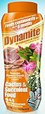  Dynamite 82170 Sun Bulb Cactus & Succulent Food, White Photo, best price $15.86 new 2024