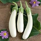 David's Garden Seeds Eggplant Casper 3411 (White) 50 Non-GMO, Open Pollinated Seeds Photo, best price $4.45 new 2024