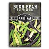 Survival Garden Seeds - Tri-Color Bean Seed for Planting - Packet with Instructions to Plant and Grow Yellow, Purple, and Green Bush Beans in Your Home Vegetable Garden - Non-GMO Heirloom Variety Photo, best price $4.99 new 2024