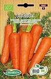 Germisem Orgánica Kuroda Semillas de Zanahoria 4 g, ECBIO9025 Foto, mejor precio 3,99 € nuevo 2024